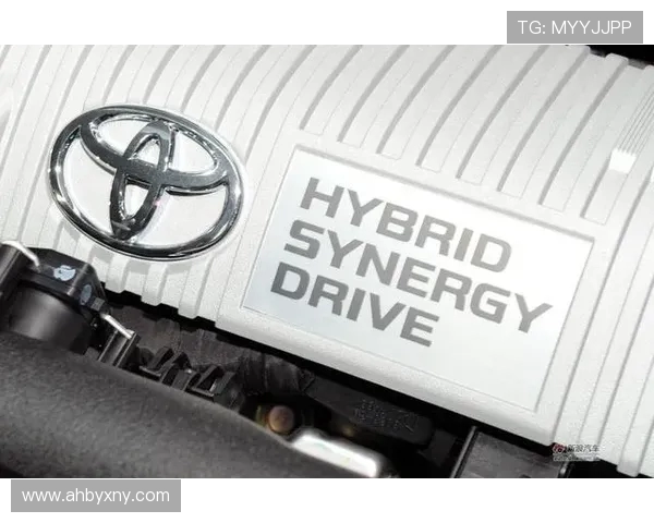 重庆飞盘队战术解析与对手战术的深度对比分析