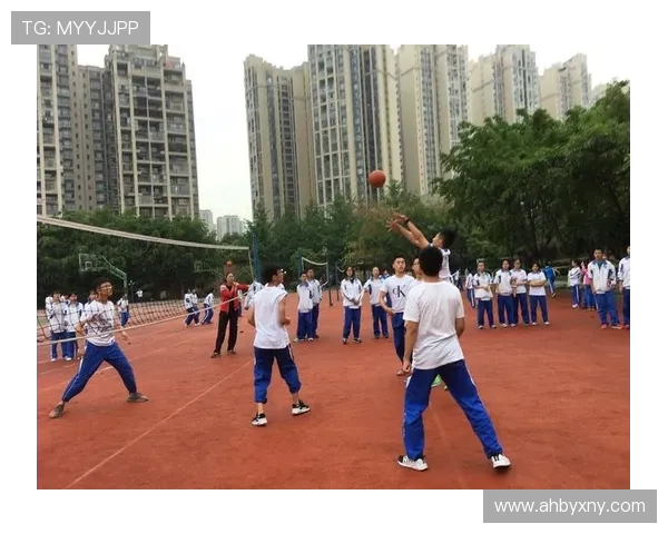 武汉排球队成长之路：一段激情与奋斗交织的排球纪实故事
